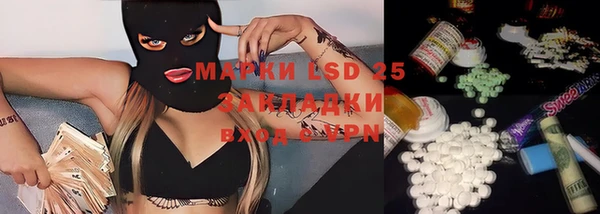 прущие грибы Алексин