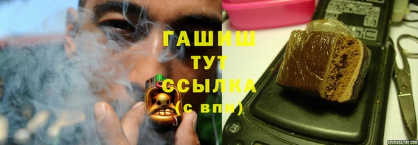 индика Алзамай
