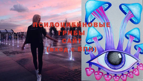 индика Алзамай