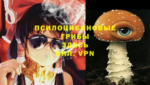 индика Алзамай