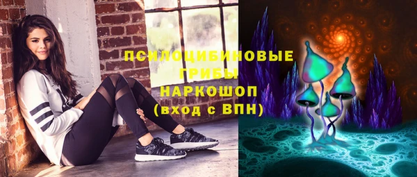 индика Алзамай
