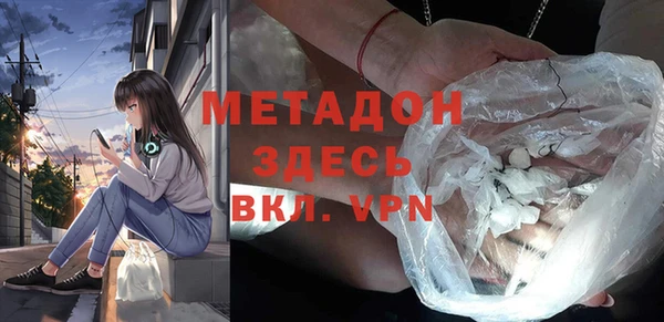 индика Алзамай