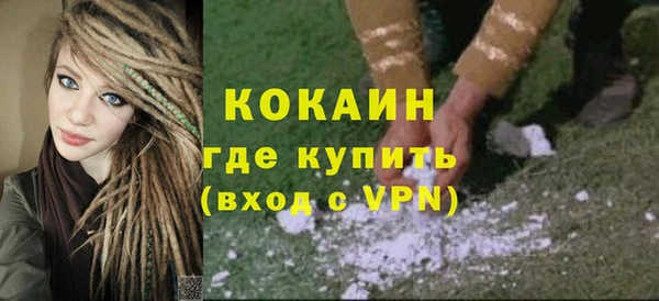 индика Алзамай