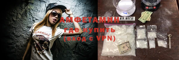 индика Алзамай