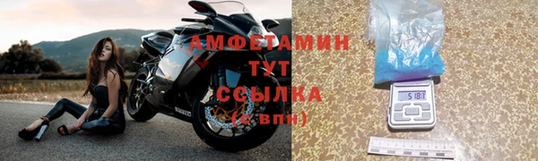 индика Алзамай