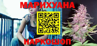 сатива Бузулук