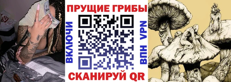 Галлюциногенные грибы Cubensis  Брянск 