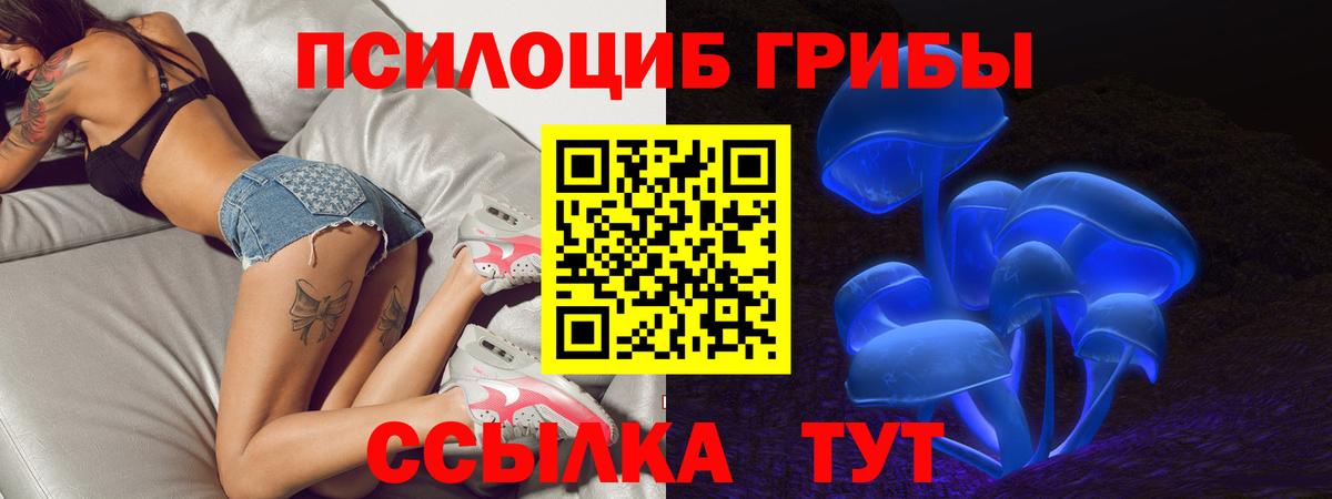 Брянск  Псилоцибиновые грибы мицелий  Вход с VPN 