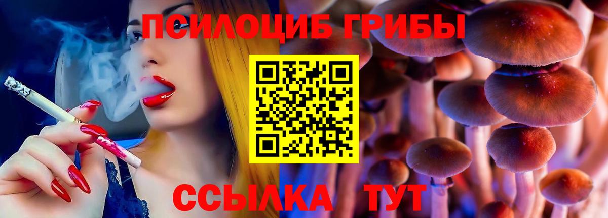 Псилоцибиновые грибы MAGIC MUSHROOMS Брянск